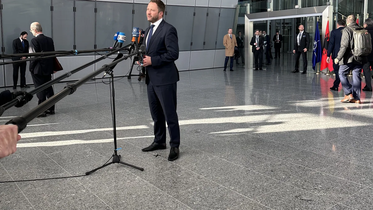 Balvi droon ja Ankara mandaat: NATO õhutõrje sai esimese testi — Poliitika